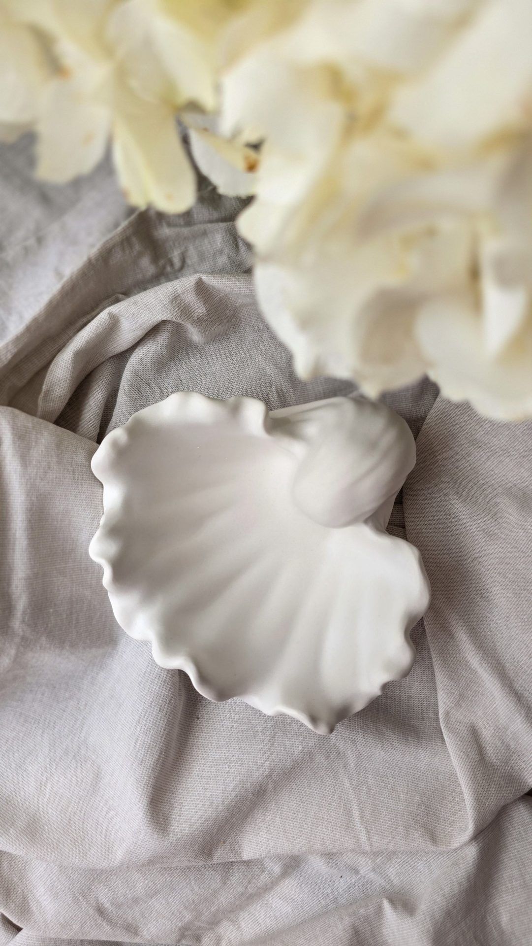 Schmuckschale in Muschel form von Elise´s Atelier