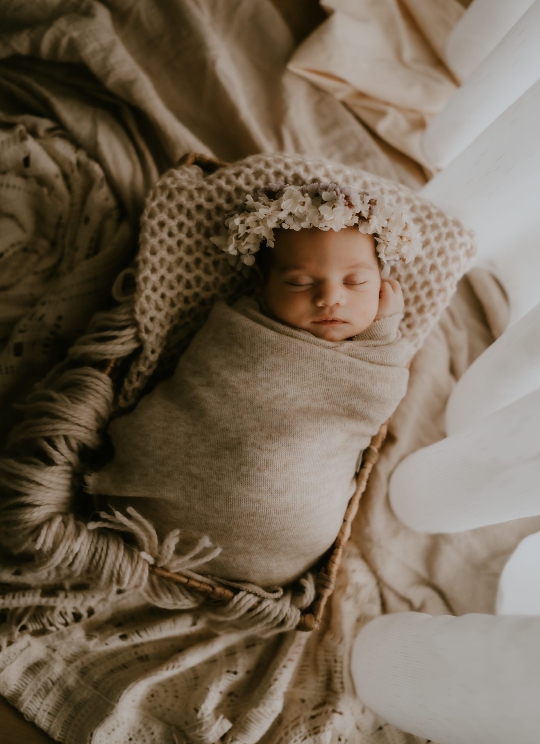 Neugeborenen-Stirnband aus Trockenblumen